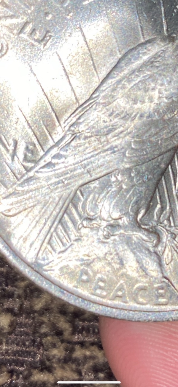 Help-Grading-This-1923-Peace-Dollar.